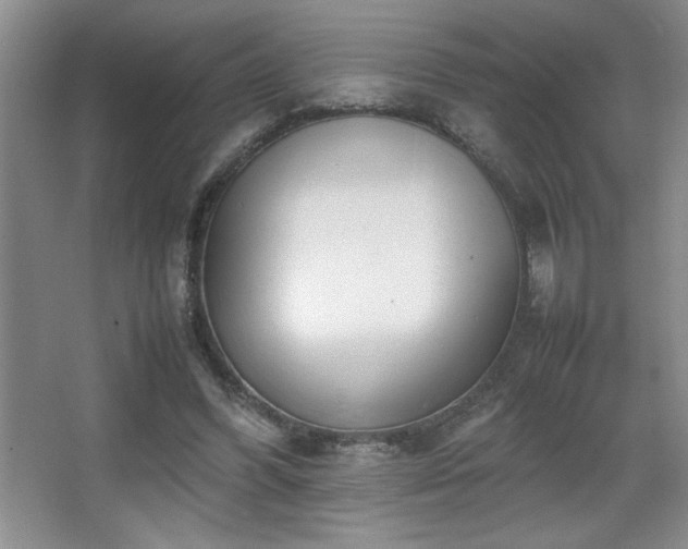 X0000067930396200604131428