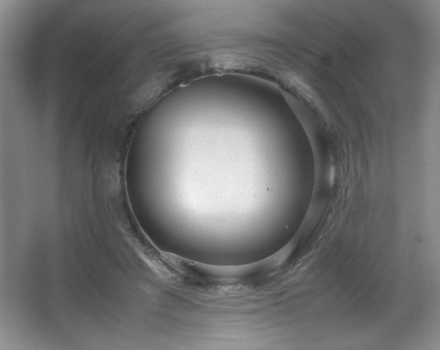 X0000067930401200604131428