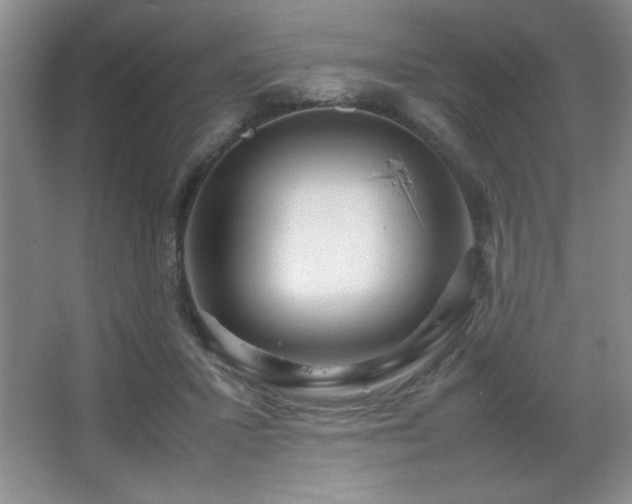 X0000067930407200604131428