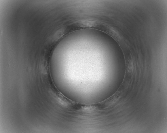 X0000067930414200604131428