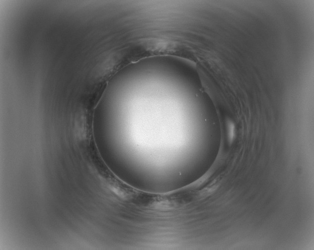 X0000067930416200604131428