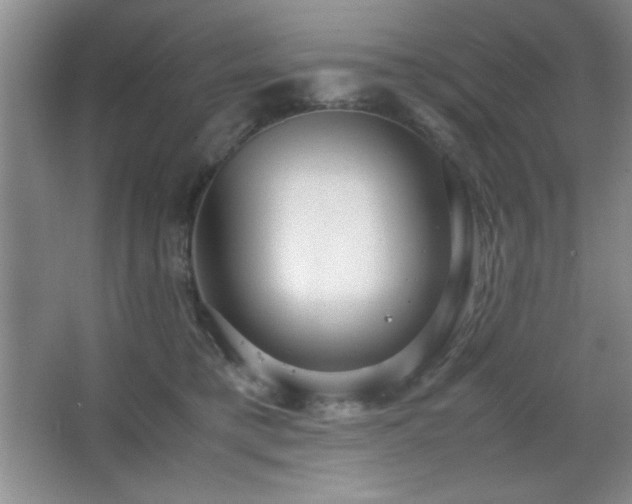 X0000067930421200604131428