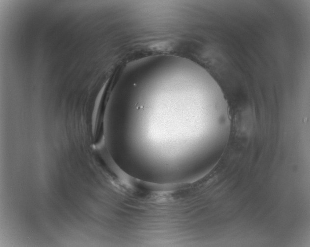 X0000067930424200604131427