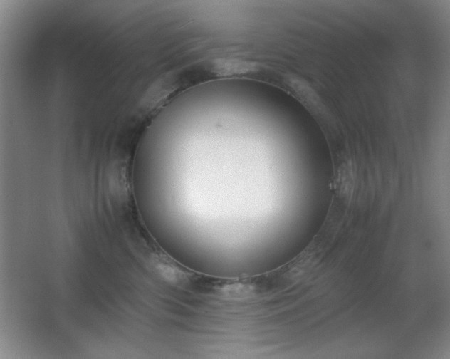 X0000067930426200604131427