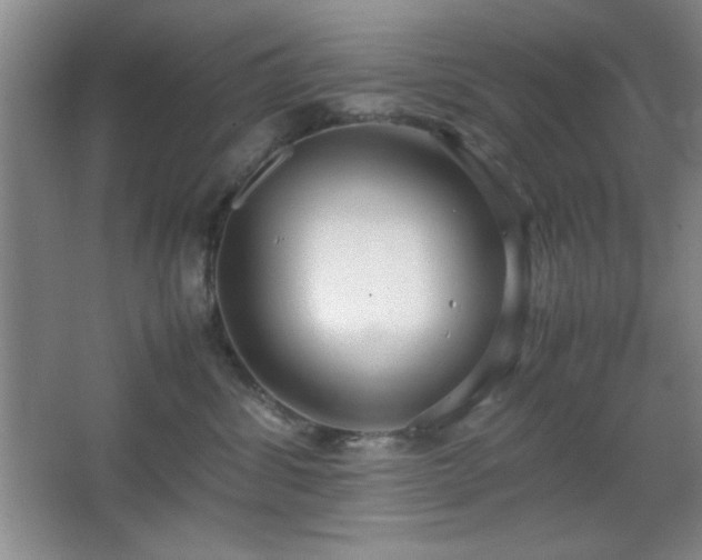 X0000067930428200604131427