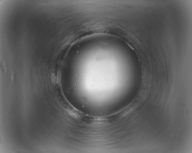 X0000067930432200604131427