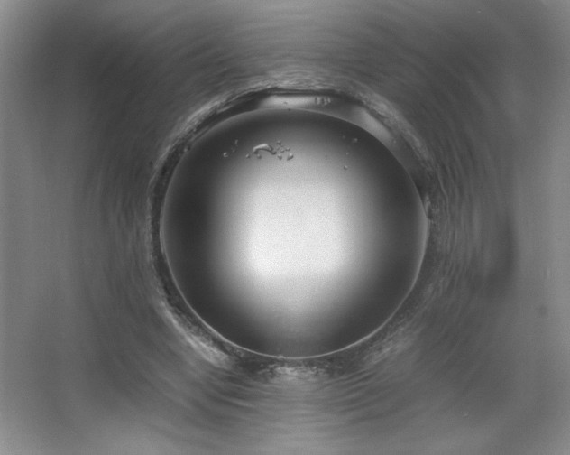 X0000067930442200604131427