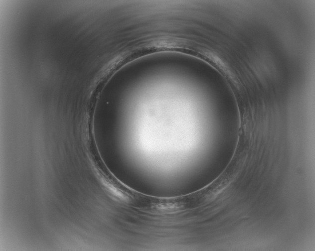 X0000067930445200604131427