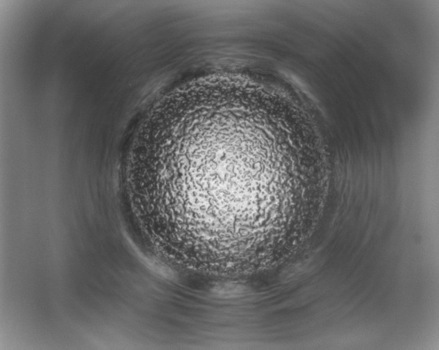X0000067930451200604131427