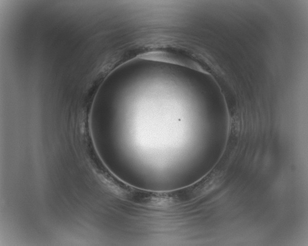 X0000067930458200604131427