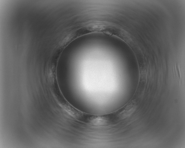 X0000067930460200604131427