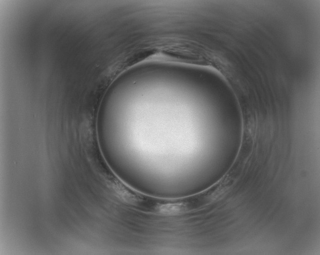 X0000067930461200604131427
