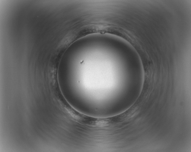 X0000067930462200604131427
