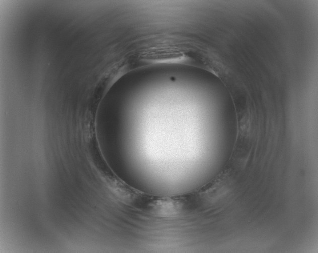 X0000067930464200604131427