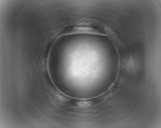 X0000067930465200604131427