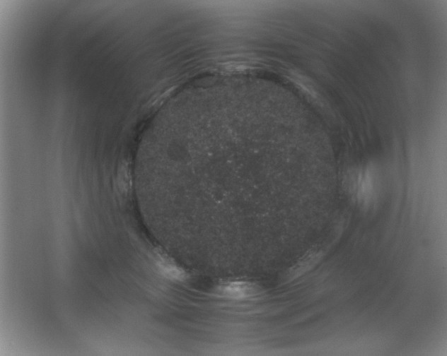 X0000067930467200604131427