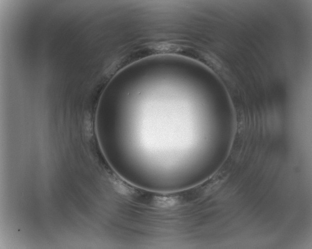 X0000067930469200604131427