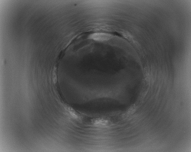 X0000067930471200604131427