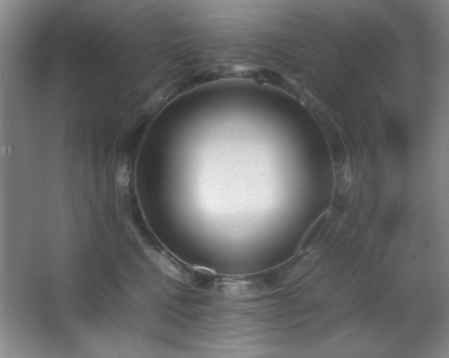 X0000067930472200604131427