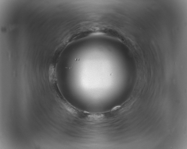 X0000067930480200604131427