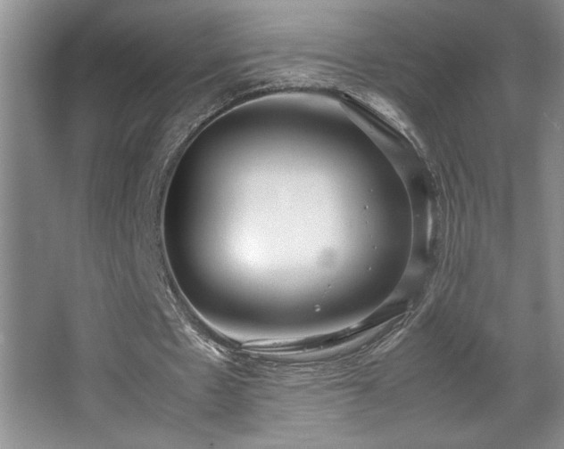 X0000067930481200604131426