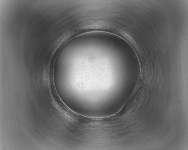 X0000067930482200604131426