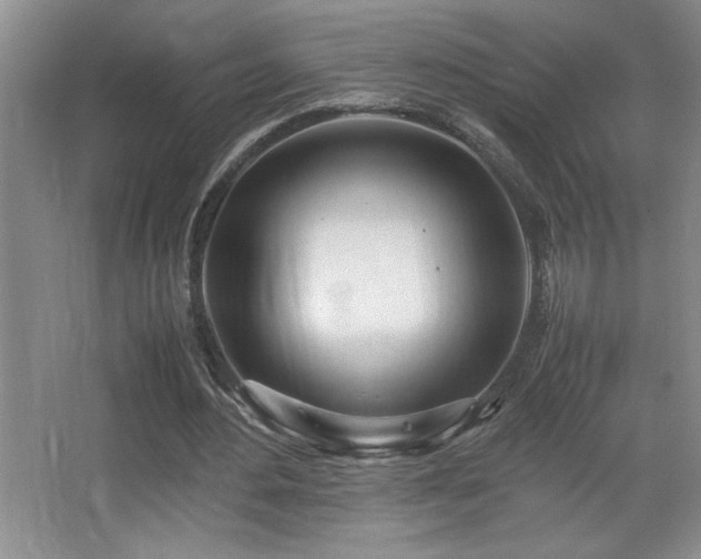 X0000067930484200604131426