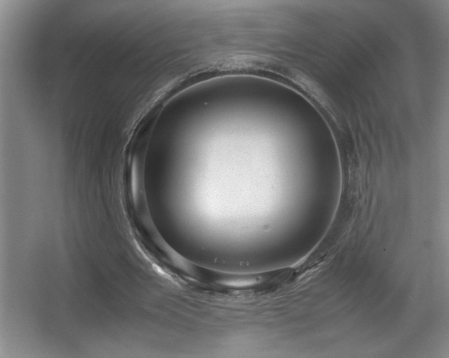 X0000067930485200604131426