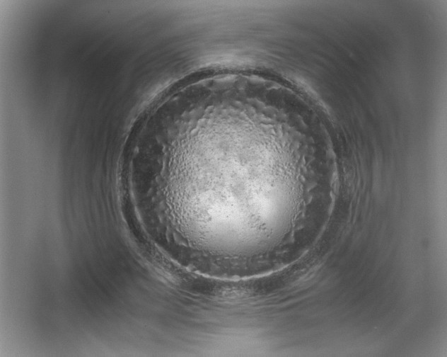 X0000067930487200604131426