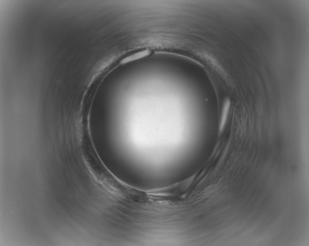 X0000067930488200604131426