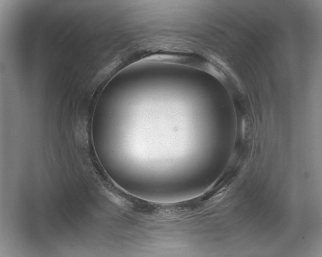 X0000067930489200604131426