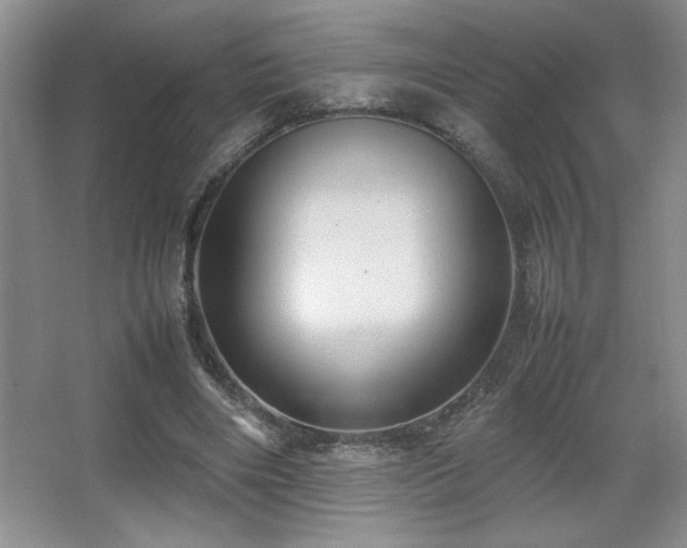 X0000067930490200604131426