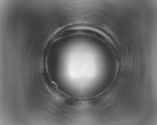 X0000067930492200604131426