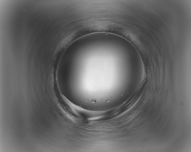 X0000067930493200604131426