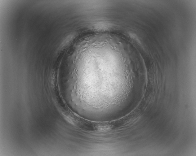 X0000067930495200604131426