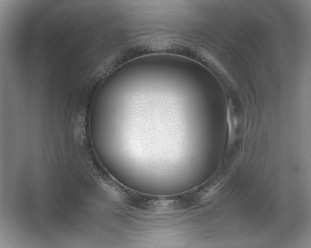 X0000067930497200604131426