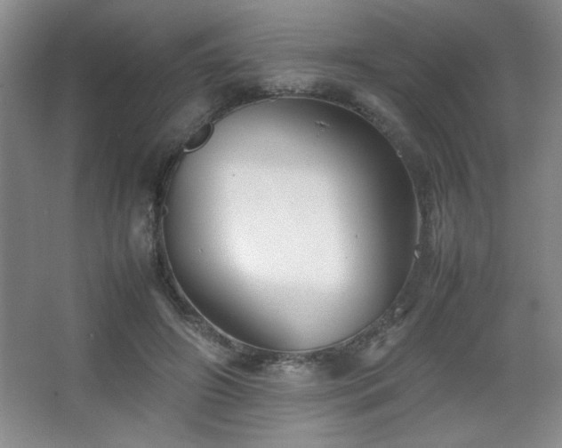 X0000067930498200604131426