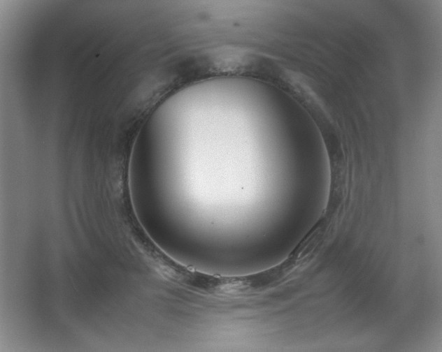 X0000067930505200604131426