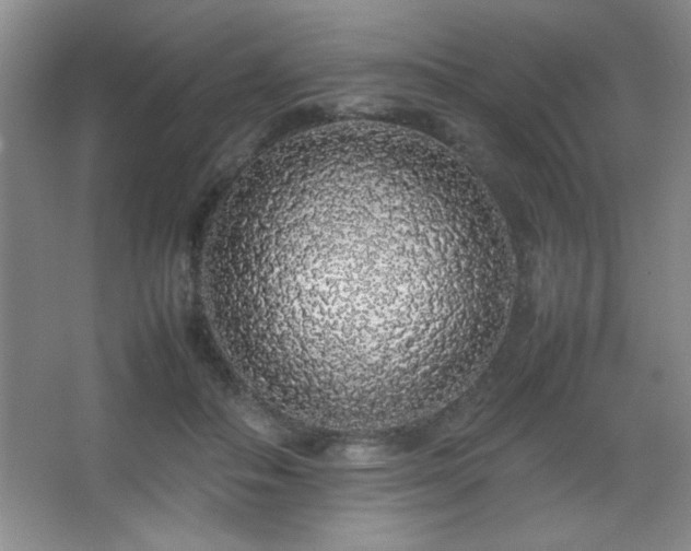 X0000067930506200604131426