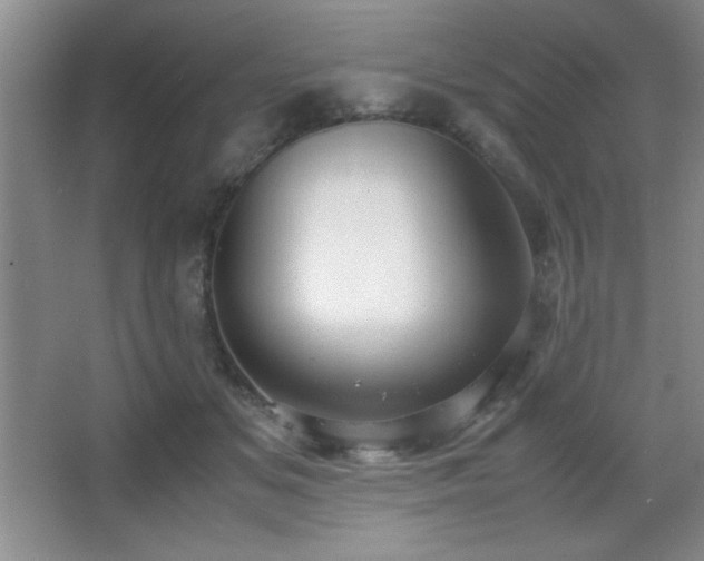 X0000067930509200604131426