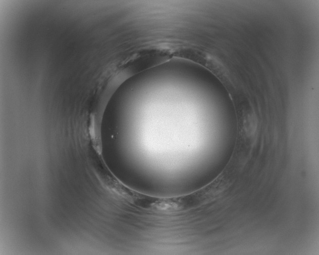 X0000067930512200604131426