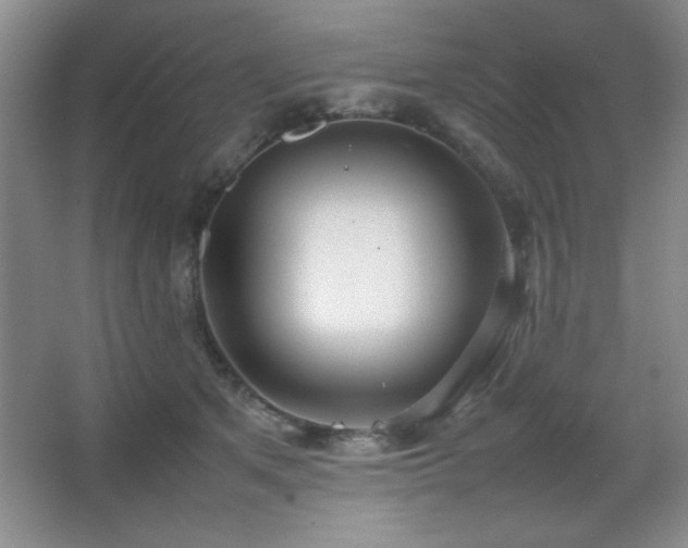 X0000067930513200604131426