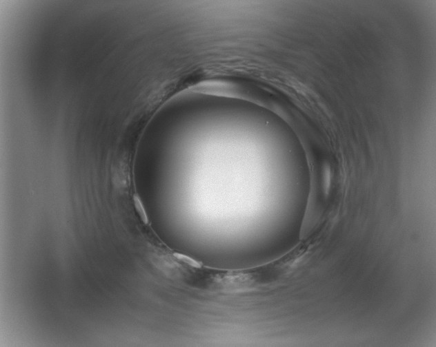 X0000067930517200604131426