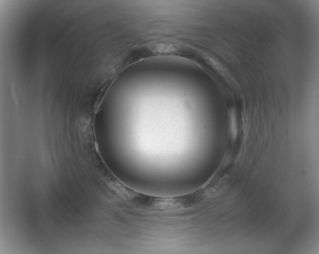 X0000067930521200604131426