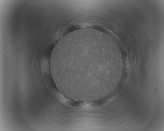 X0000067930523200604131426