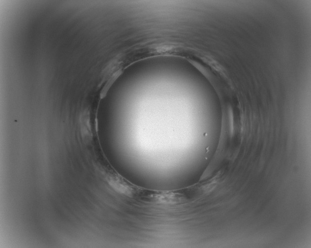 X0000067930524200604131426