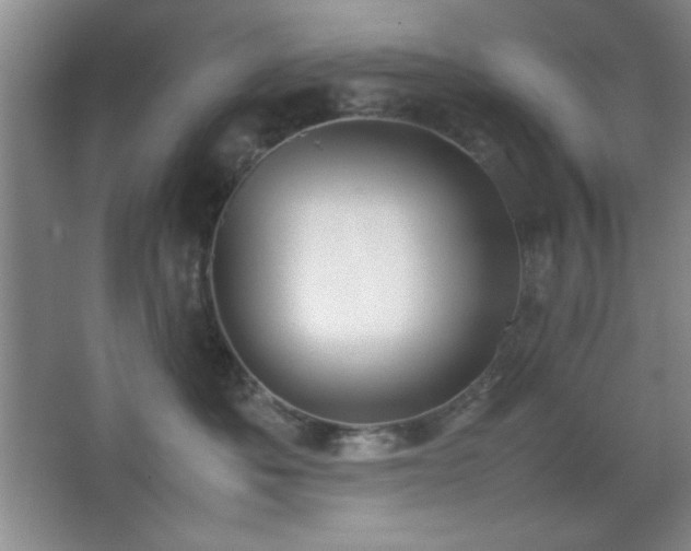 X0000067930525200604131426