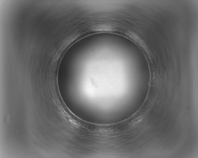 X0000067930529200604131425