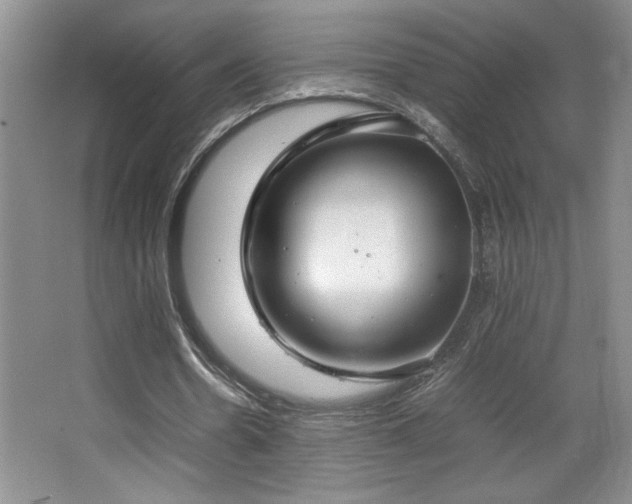 X0000067930530200604131425