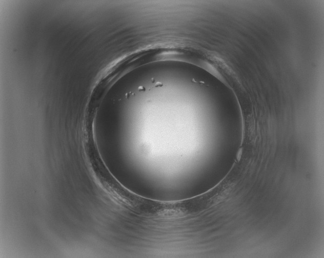 X0000067930536200604131425